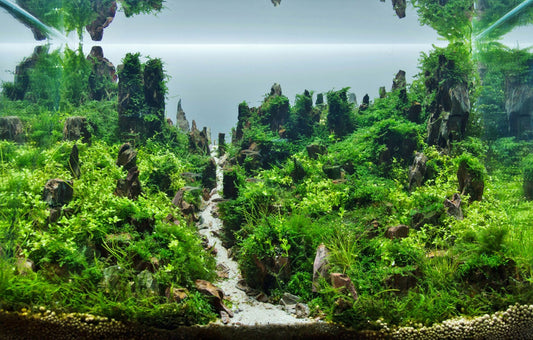 Materiali per Aquascaping: Guida con ADA, WIO e AQ PET