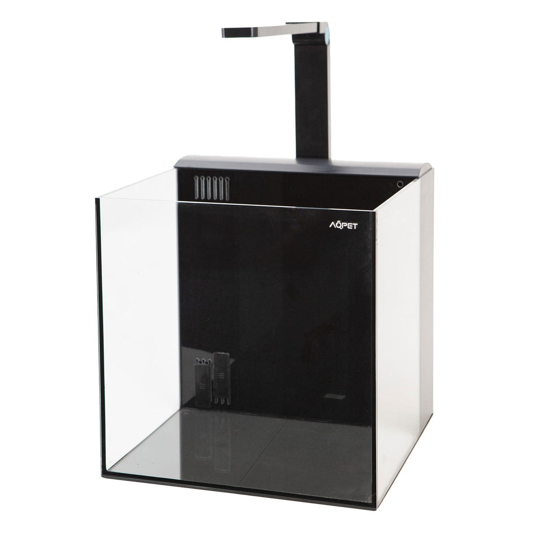 Kubic Rear 30: Guida per Acquario Dolce e Marino Perfetto | Animal instinct