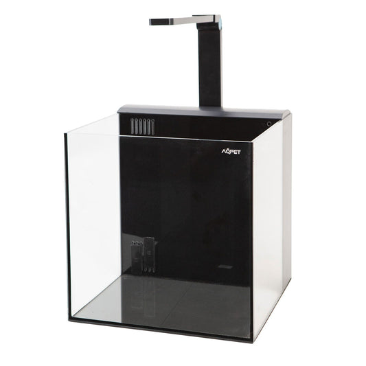 Kubic Rear 30: Guida per Acquario Dolce e Marino Perfetto | Animal instinct