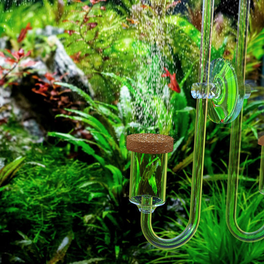 E' davvero importante la CO2 in un acquario con piante? | Animal Instinct