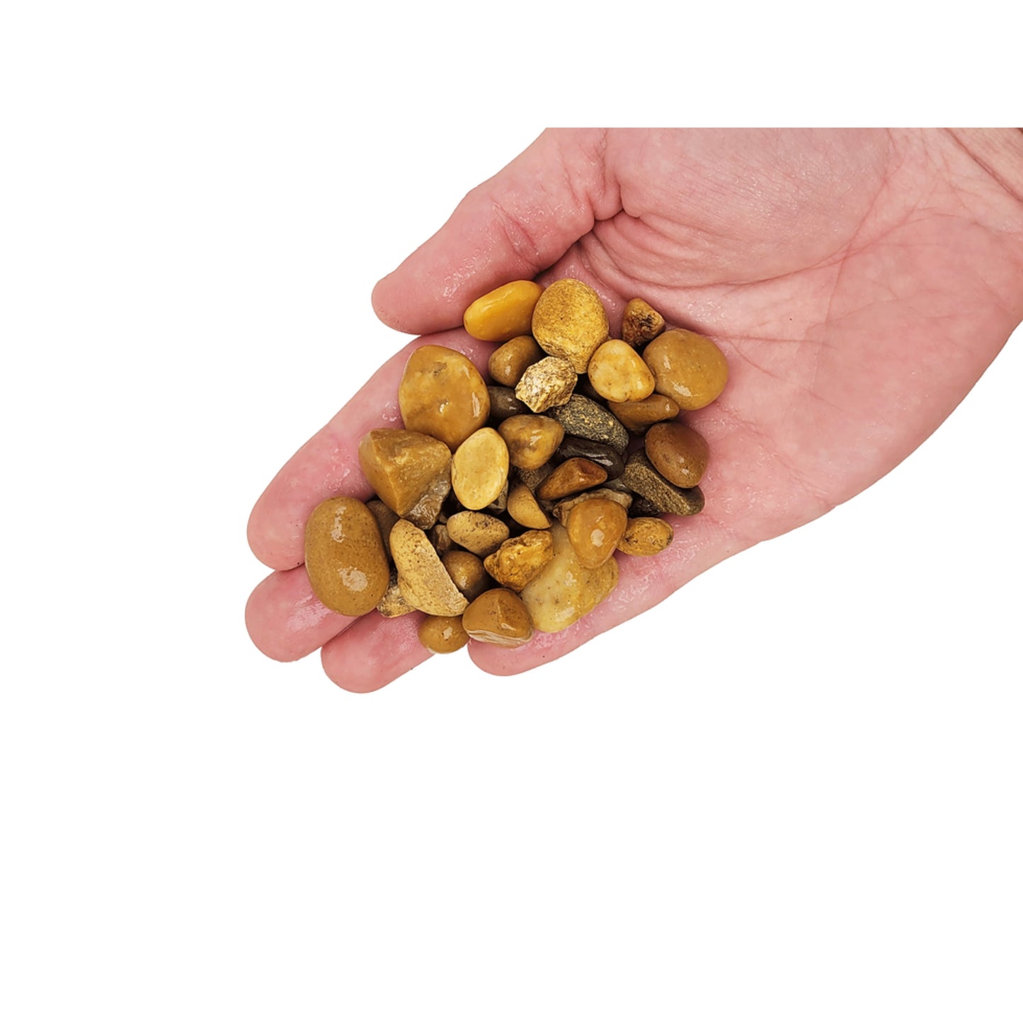 Bumblebee Gravel