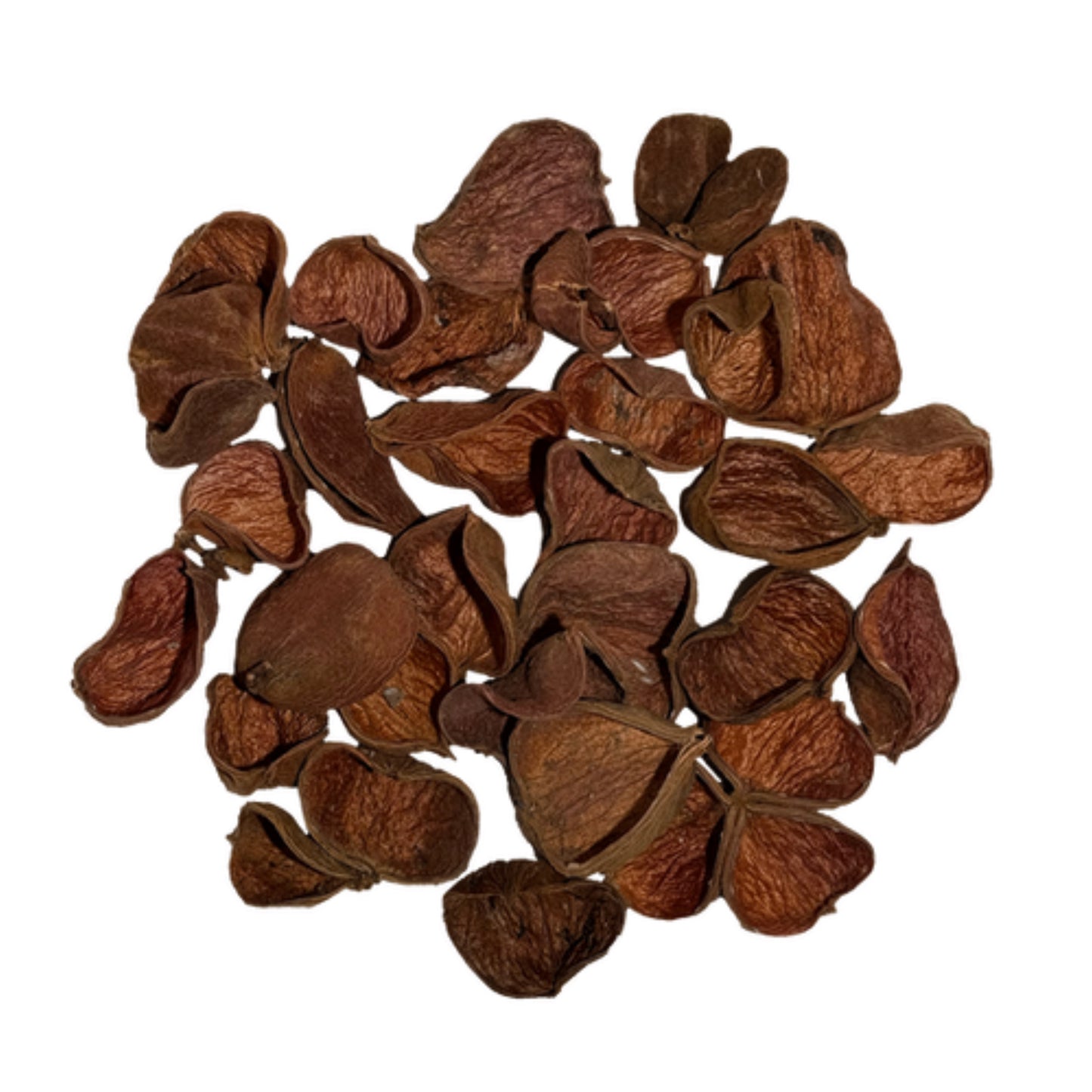 Land Lotus Petals Pod