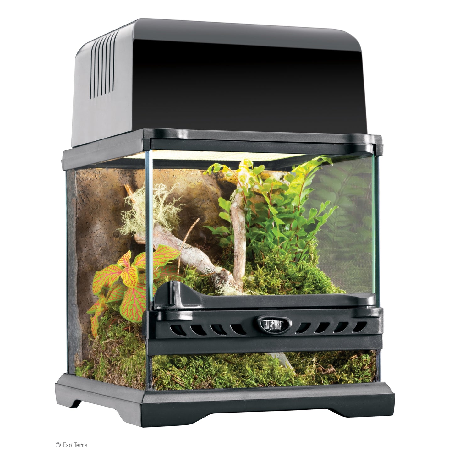 Terrario Nano Wide Exo Terra 20x20x20 - Ideale per Anfibi e Rettili
