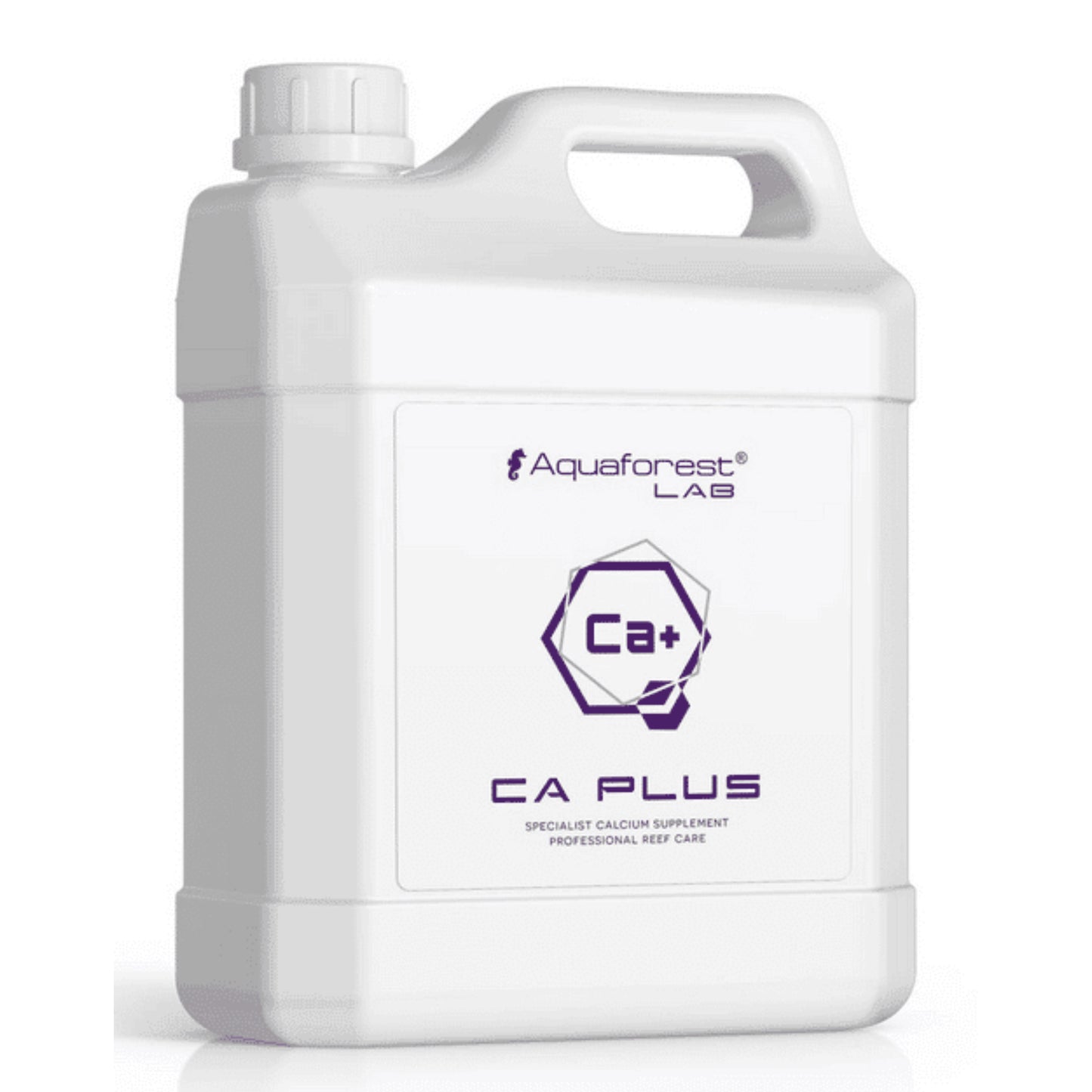CA Plus