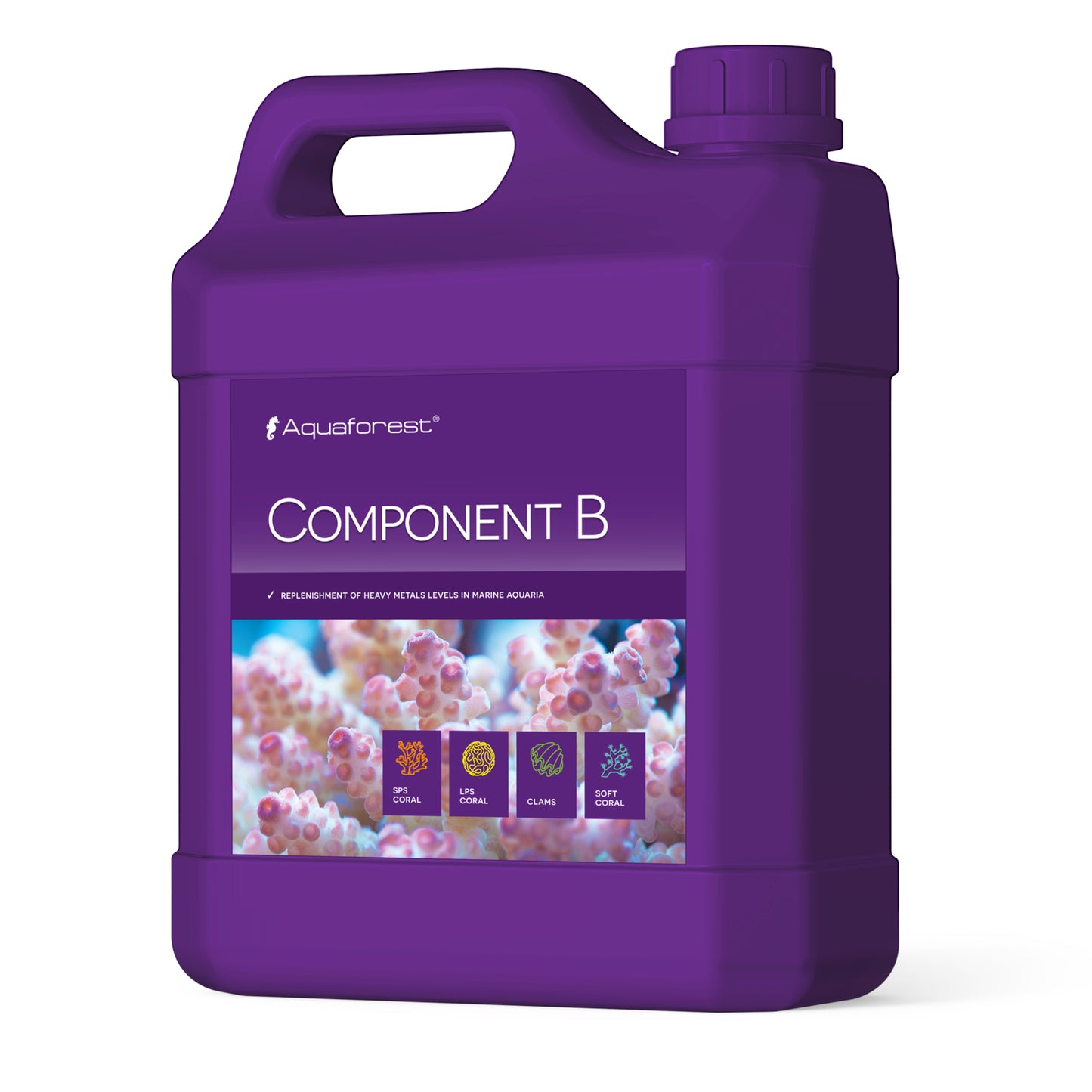 AF Component B