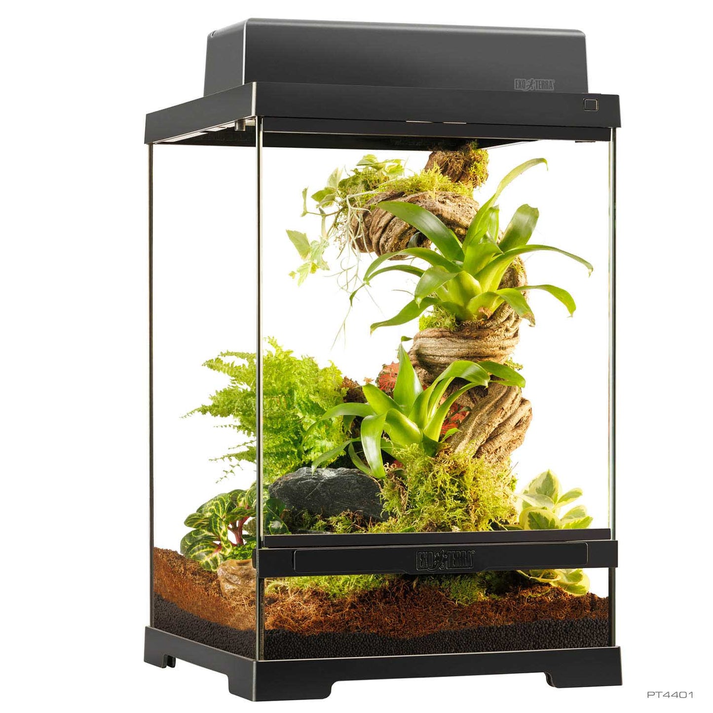 Exo Terra Pro Terrarium X-Small Tall | Terrario per Rettili e Anfibi