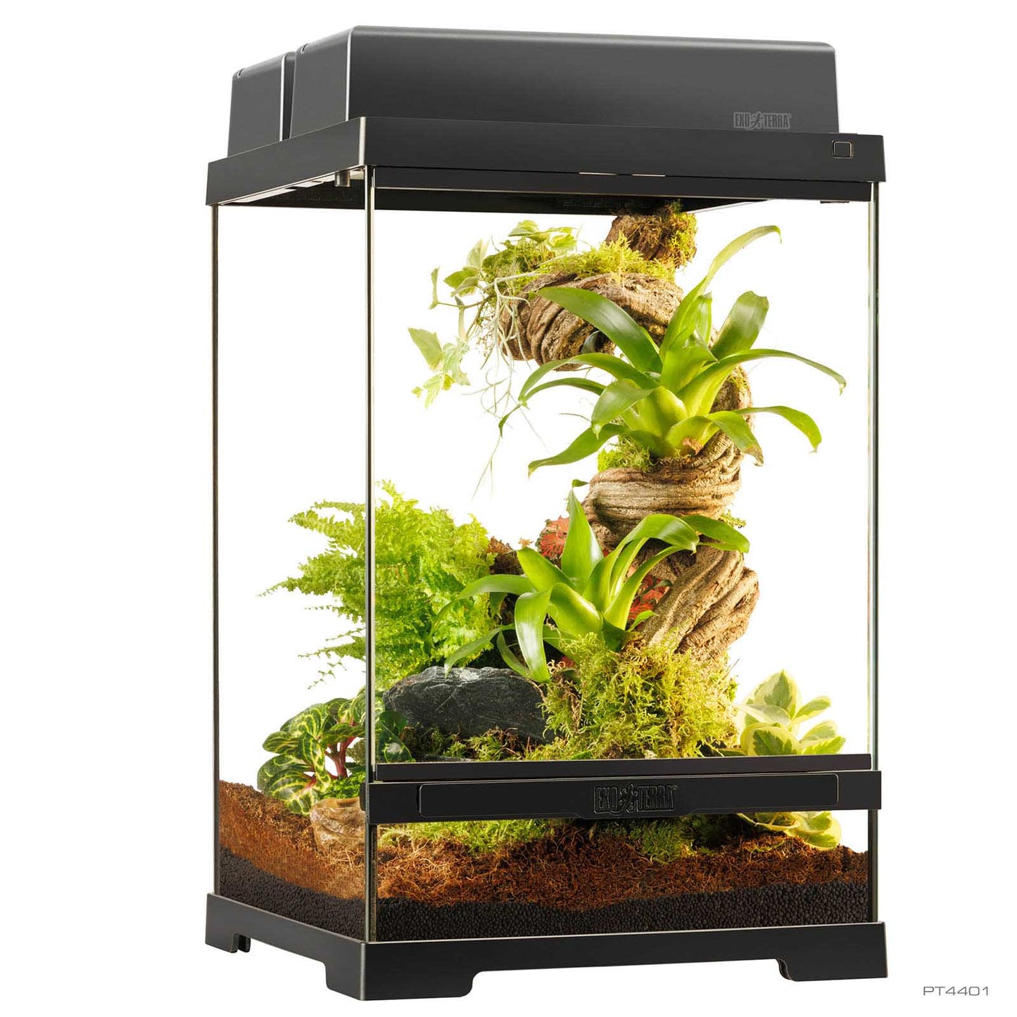 Exo Terra Pro Terrarium X-Small Tall | Terrario per Rettili e Anfibi | Animal instinct