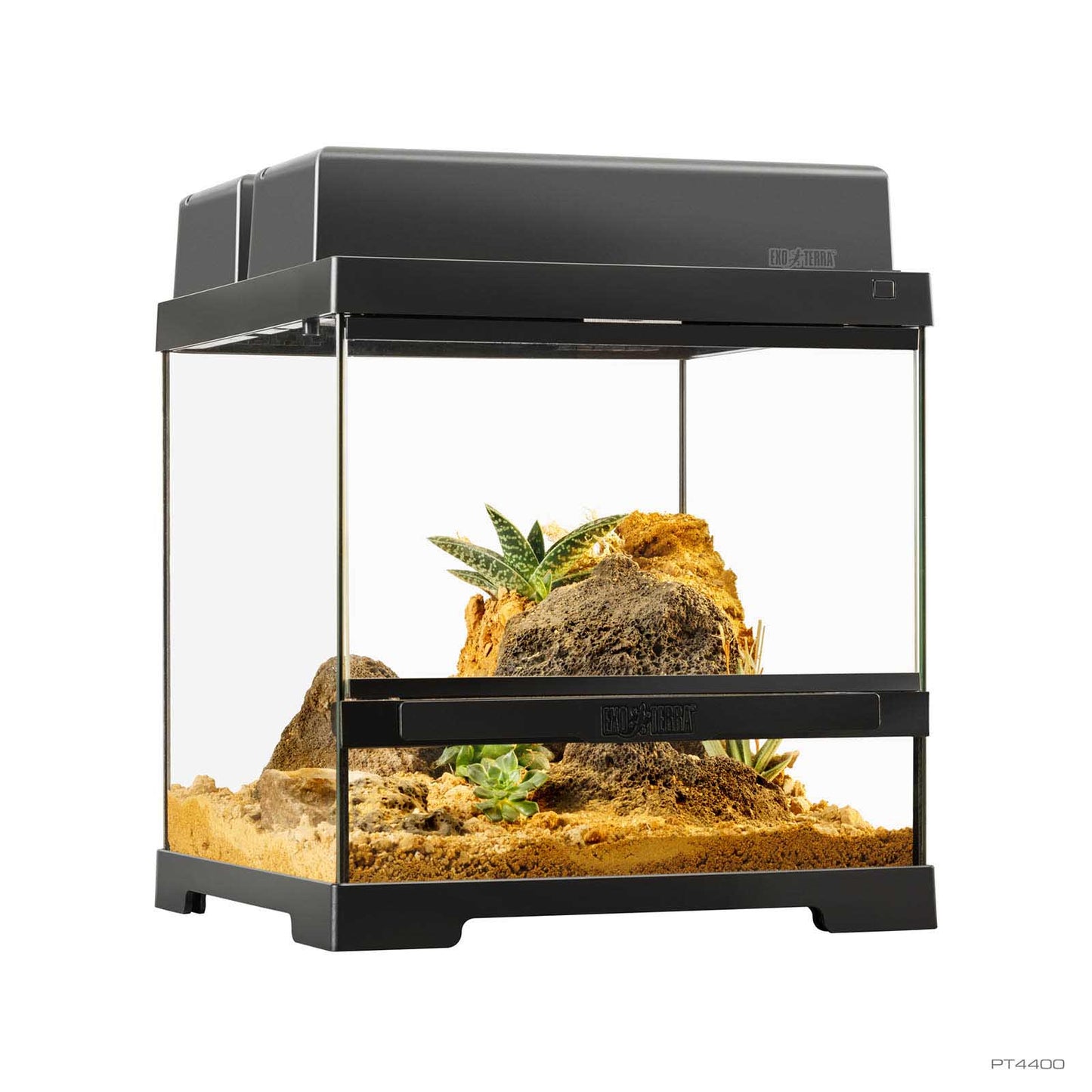 Exo Terra Pro Terrarium X-Small Wide | Terrario Naturale Avanzato per Rettili e Anfibi Animal instinct Roma