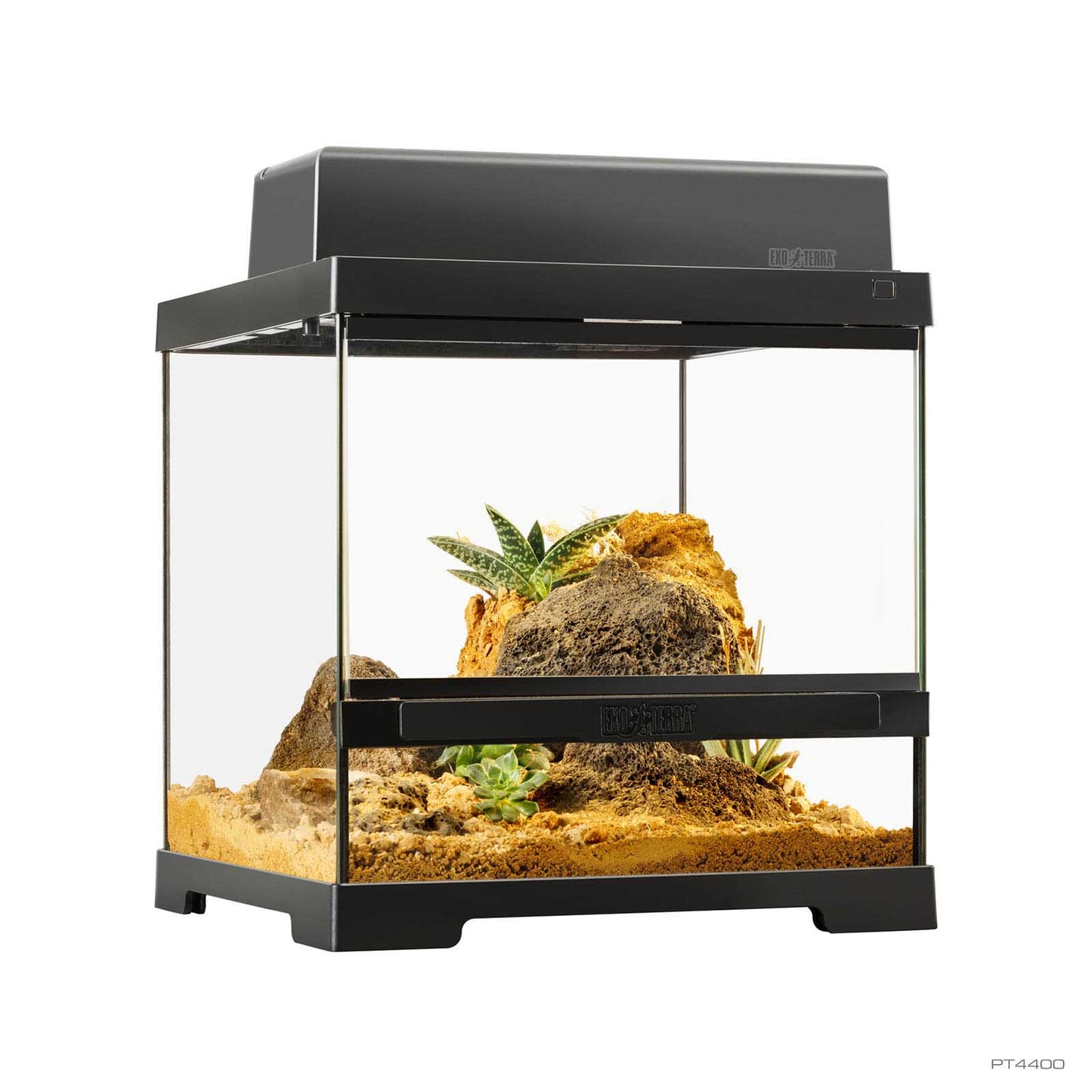 Exo Terra Pro Terrarium X-Small Wide | Terrario per Rettili e Anfibi