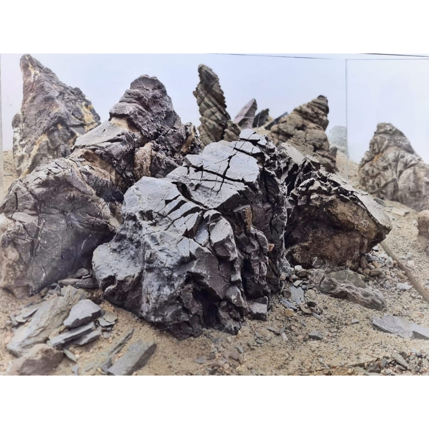 Rhino Stone