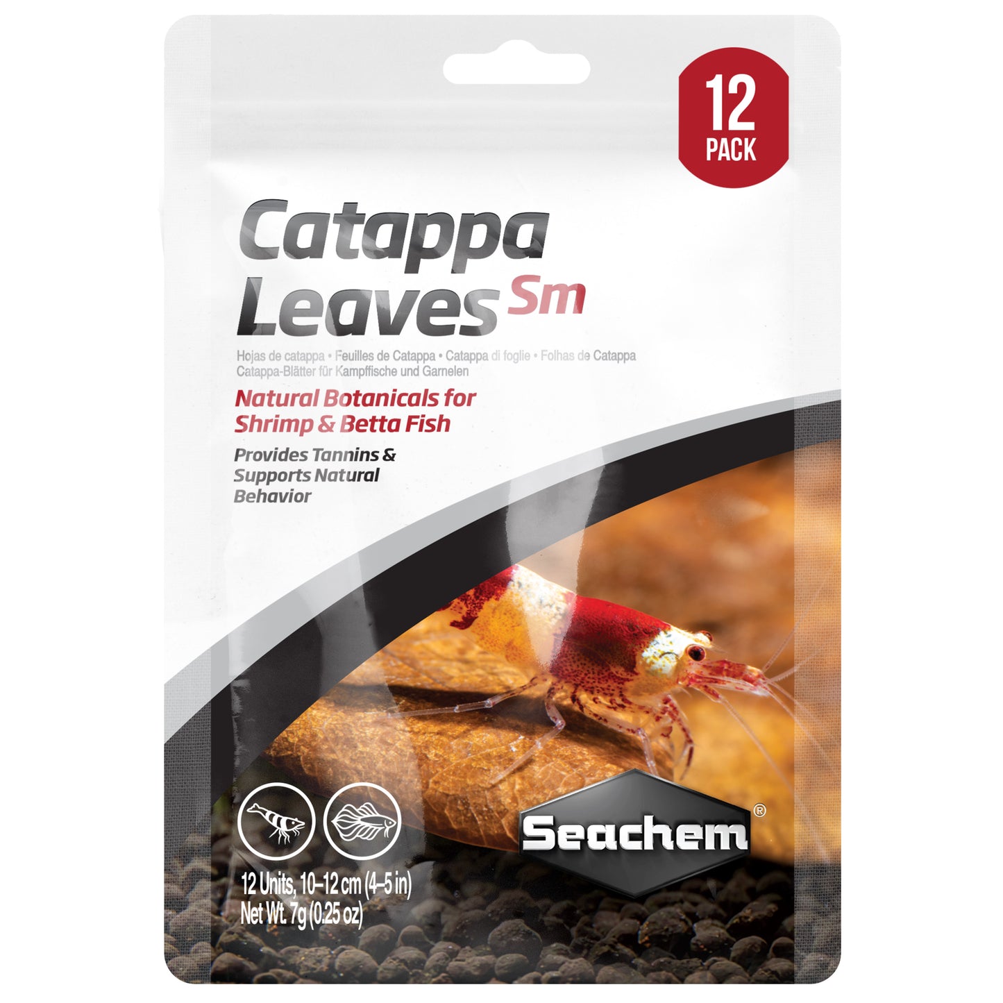 Catappa Leaves SM
