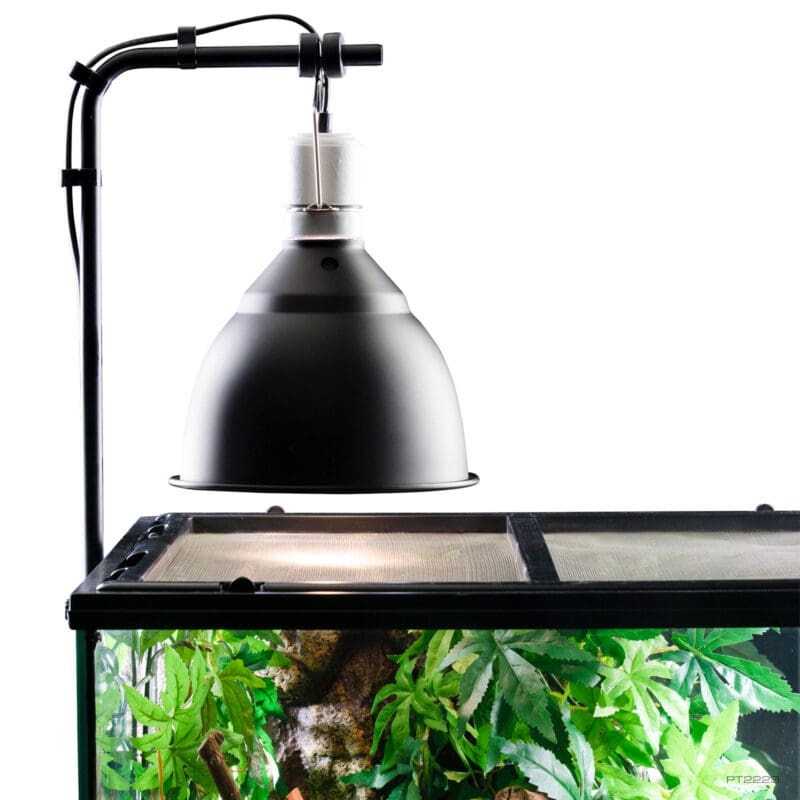 Light bracket