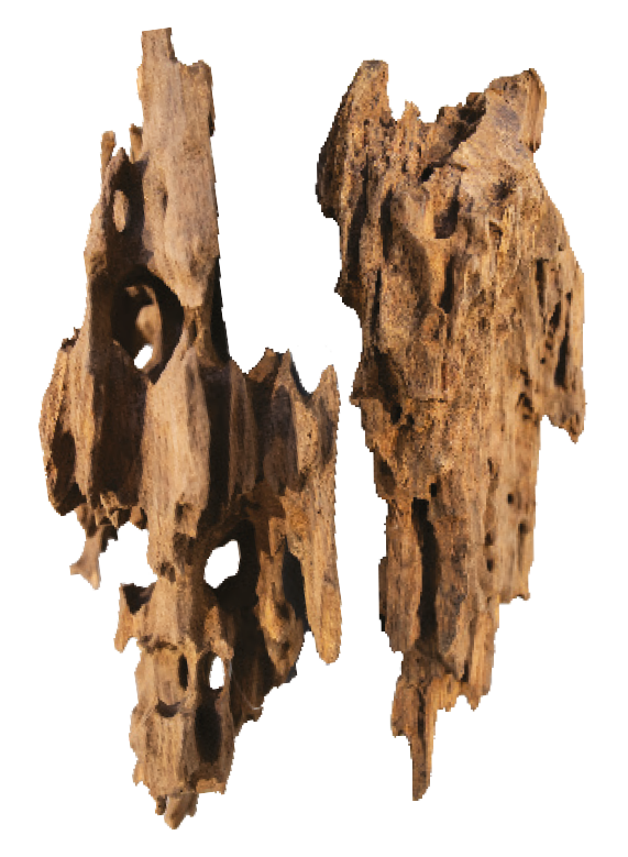 BioArt Hooneycomb Wood