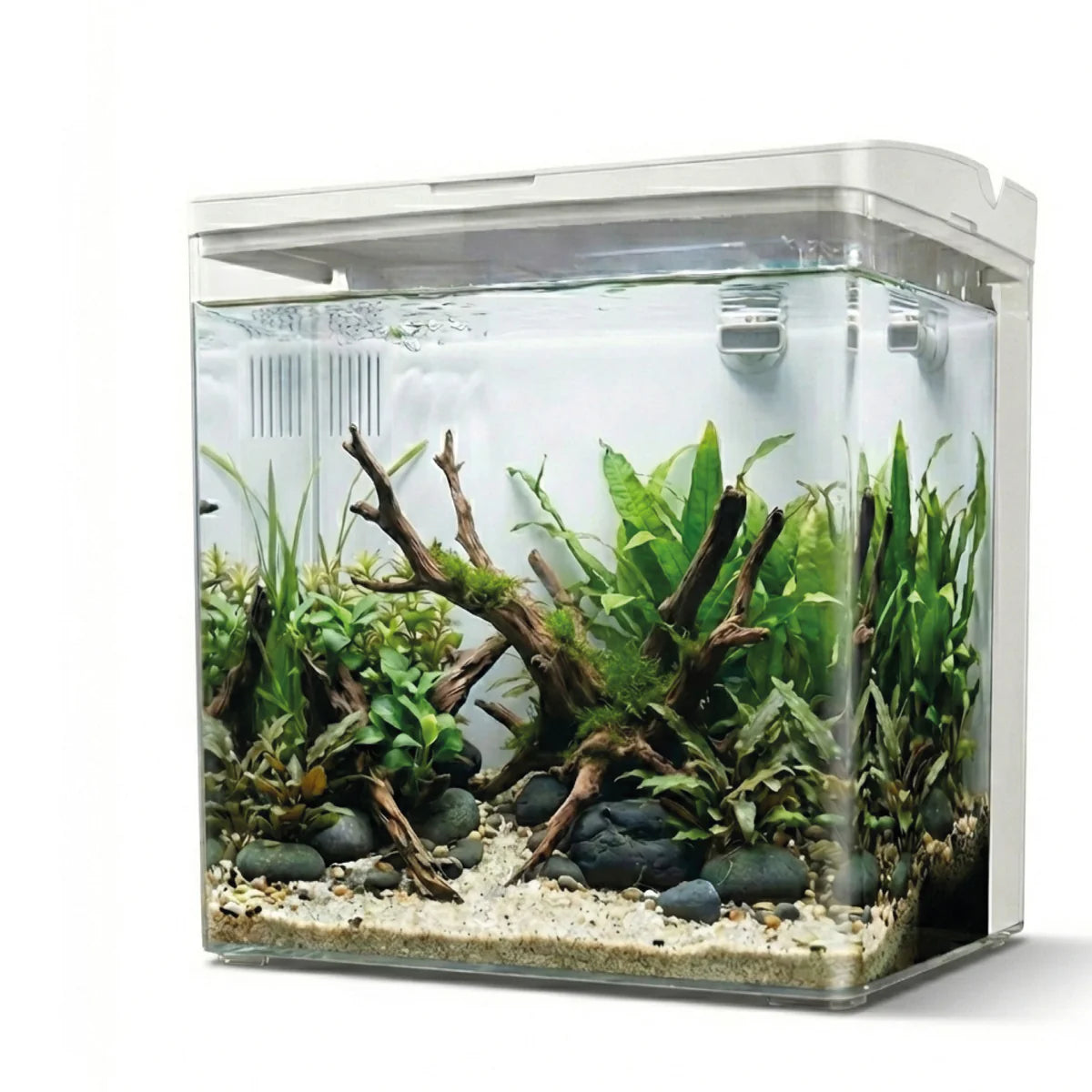 AQPet Neya Starter Kit Acquario Betta Completo con LED Filtro e Riscaldatore | Animal instinct Roma
