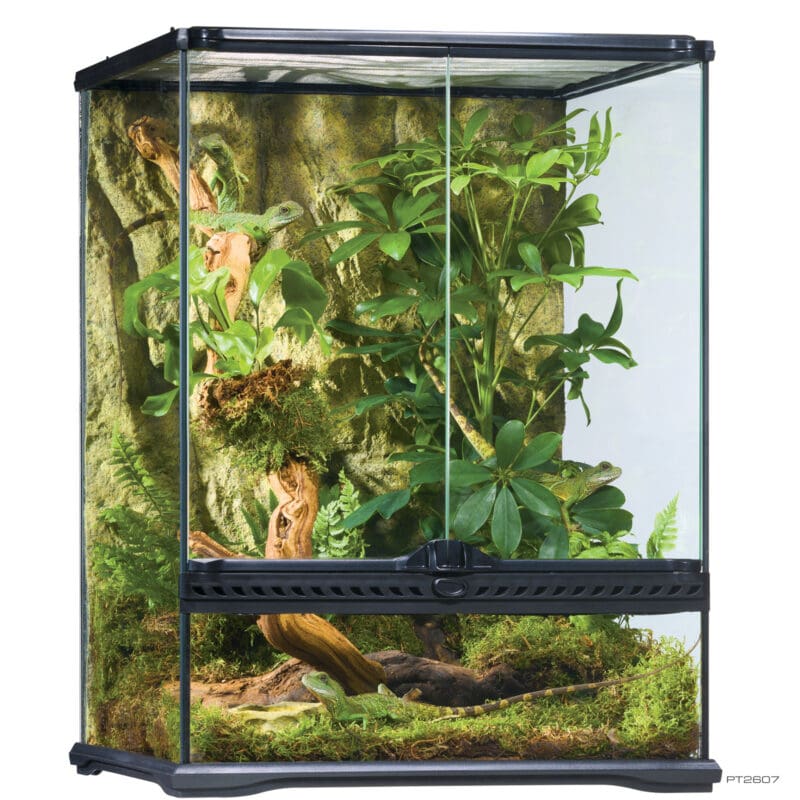 Terrarium Small Tall