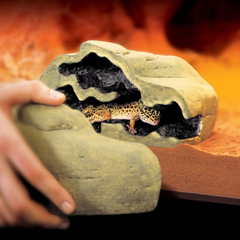 Reptile den