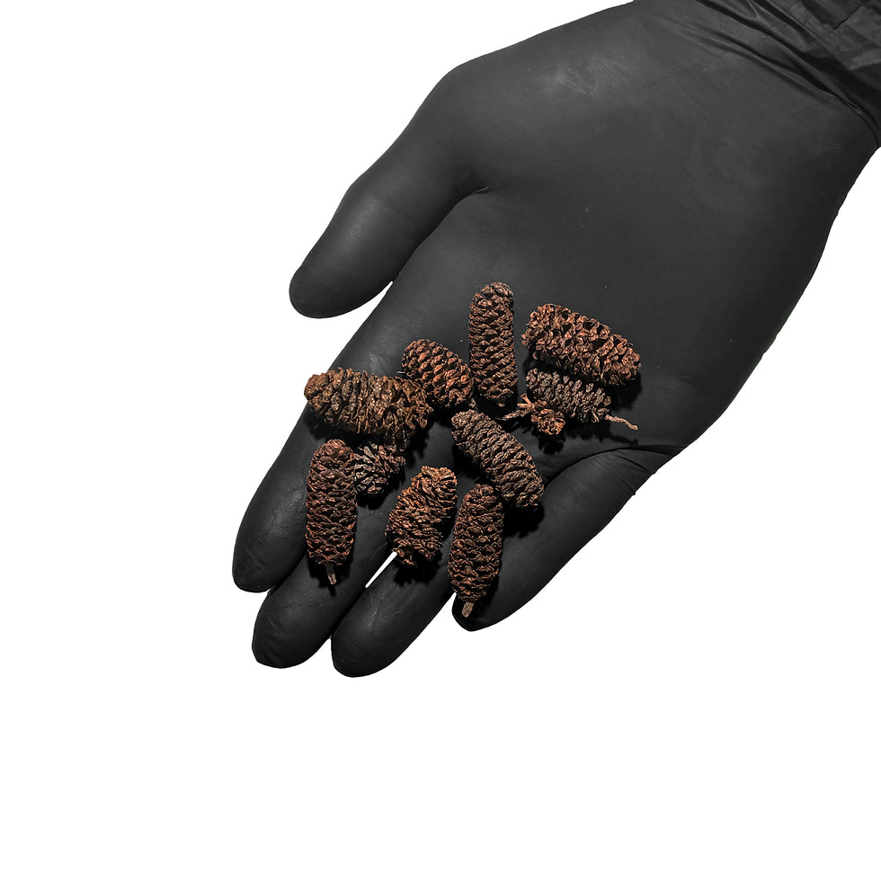 Alder Pod