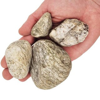 Elderly Nano Boulder
