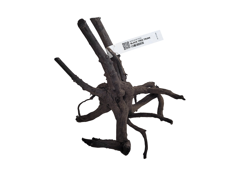 Black Tree Trunk Wood Wio
