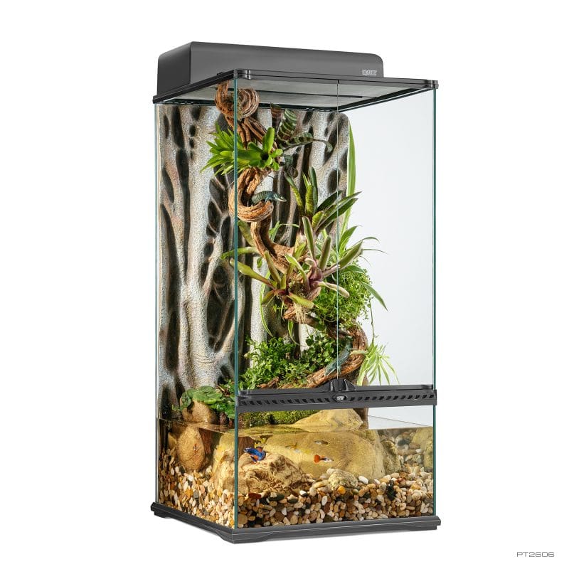 Terrarium Small X-Tall