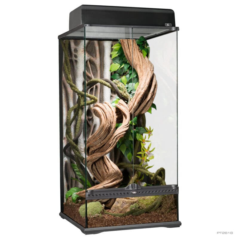Terrarium Small X-Tall