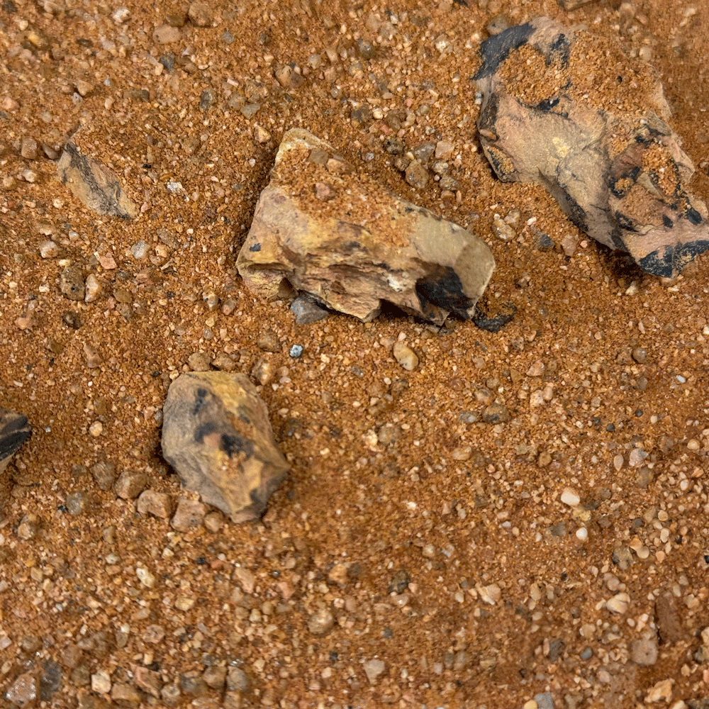 Golden Dragon Riverbed Wio