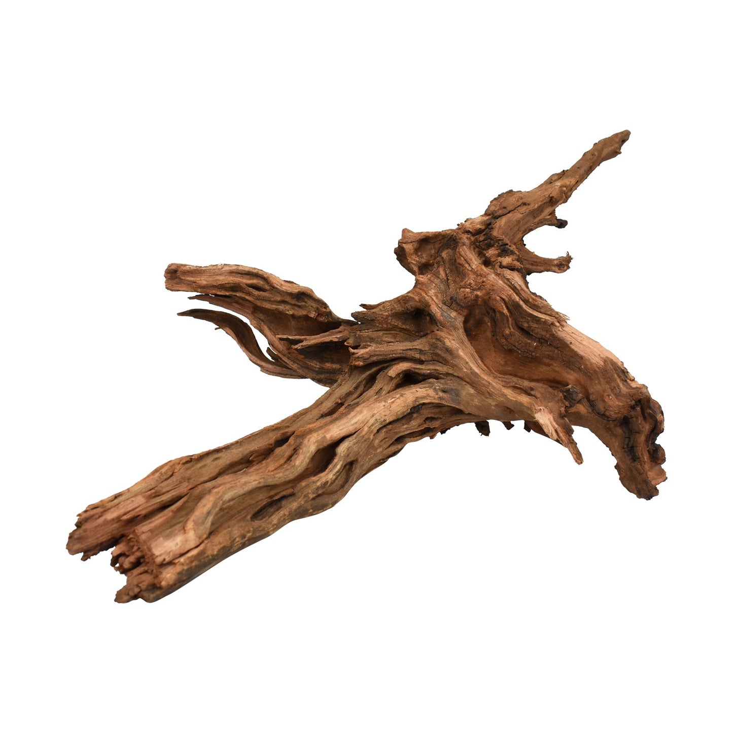 Drift Wood