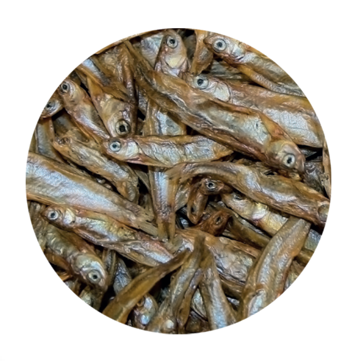 Tartarù Fish