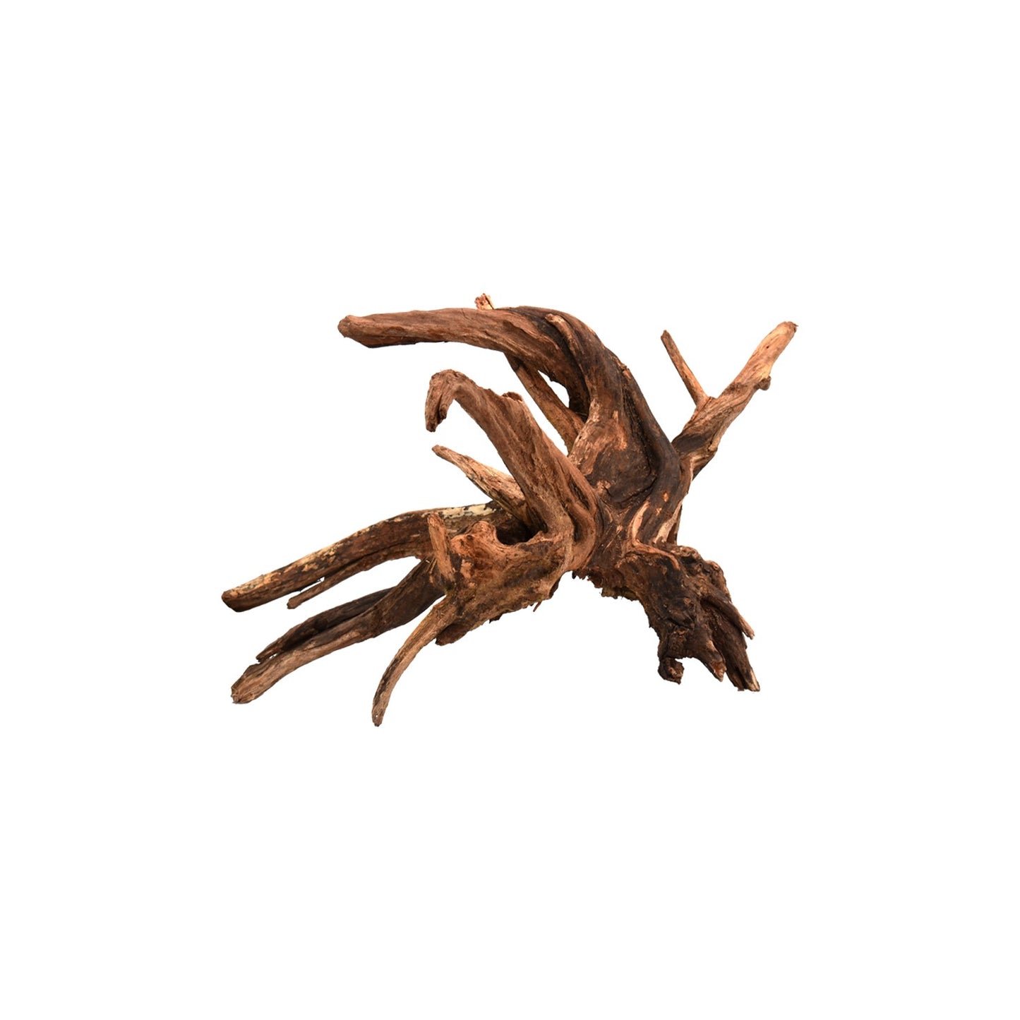Drift Wood