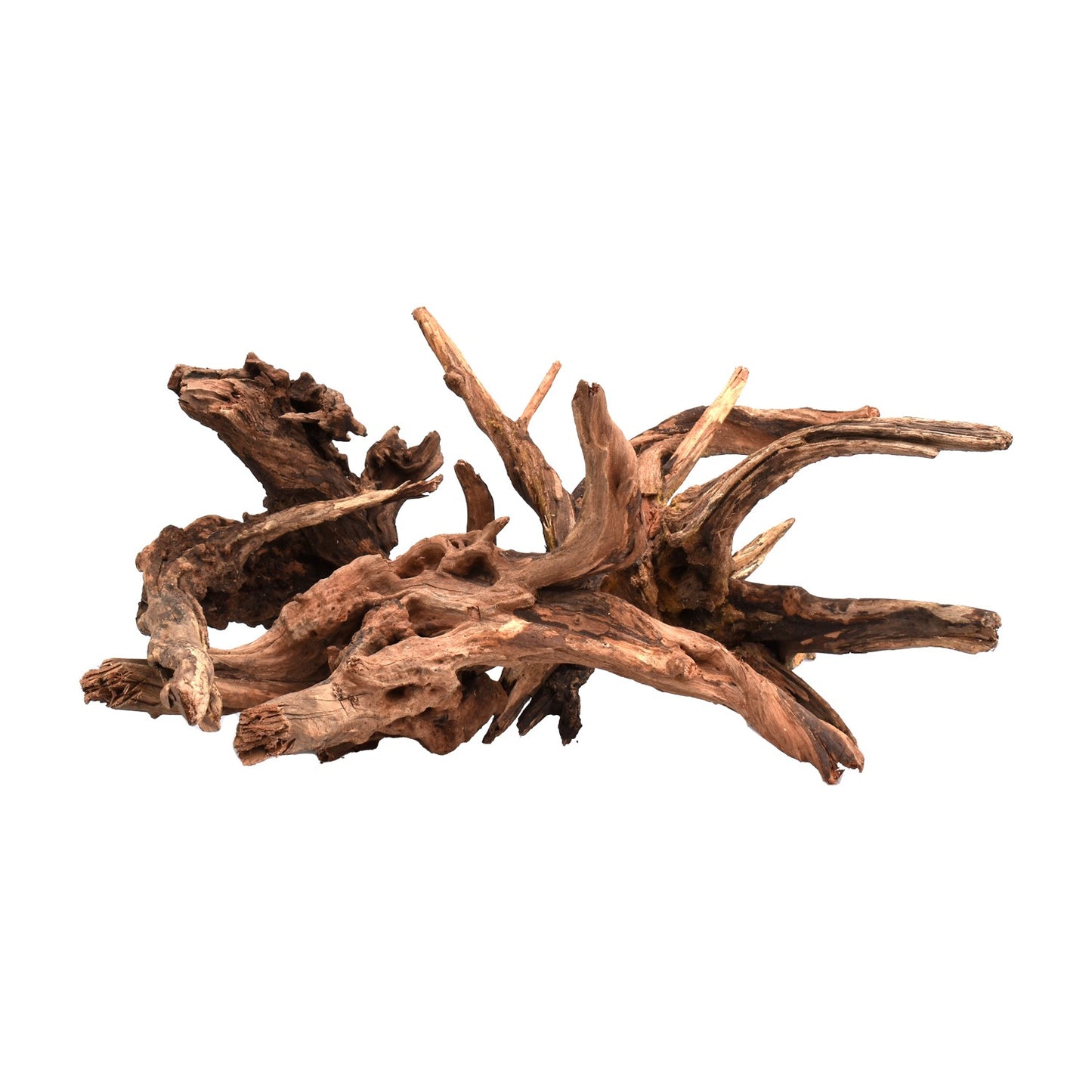 Drift Wood