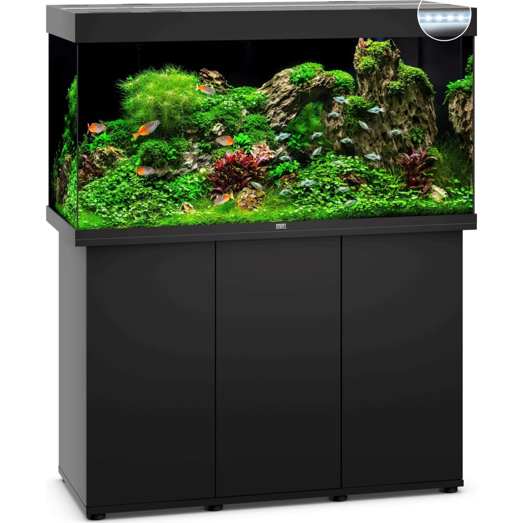 Materiale Filtrante per Acquario - Animal House Italia