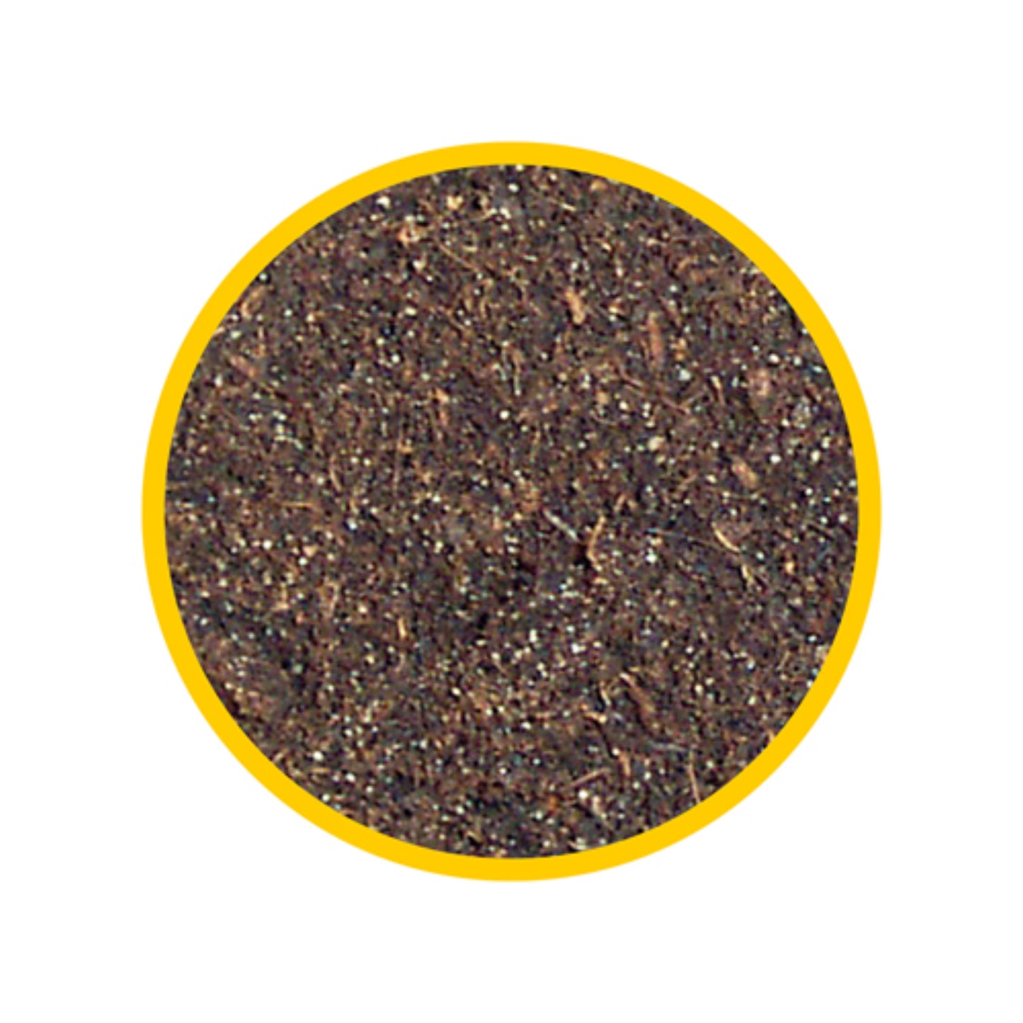 Terrano Terra
