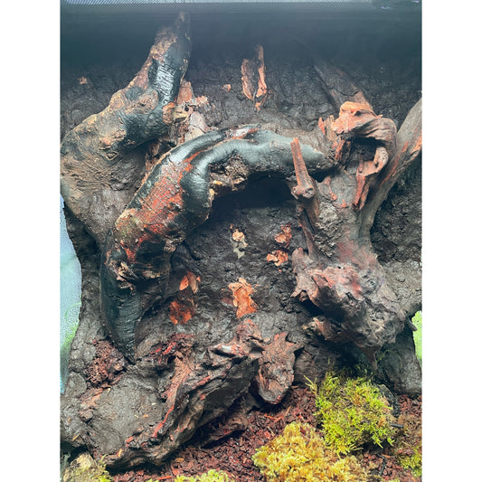 Keto vs Schiuma Espansa: Evoluzione Terrari 100% Naturali