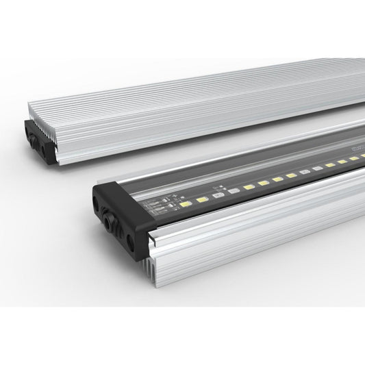 Silver Moon X FW: illuminazione LED per acquari d’acqua dolce