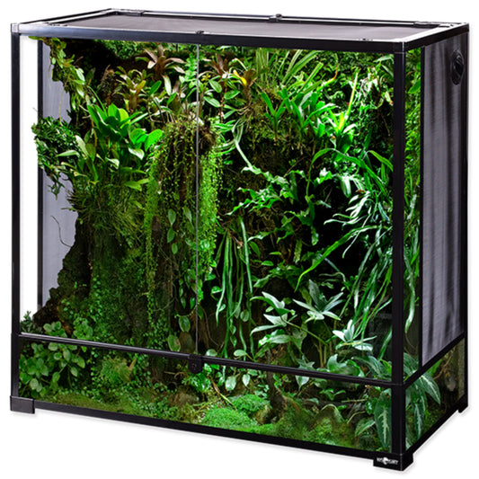 Come Creare un Terrario: Guida Facile per Principianti | Animal Instinct Roma