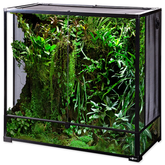 Illuminazione per Terrario con Piante: Guida Completa per Neofiti 🌱💡