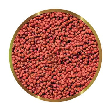 Mangimi SHG per pesci tropicali: guida a Hi Red, Micro Hi Red e Fiocchi