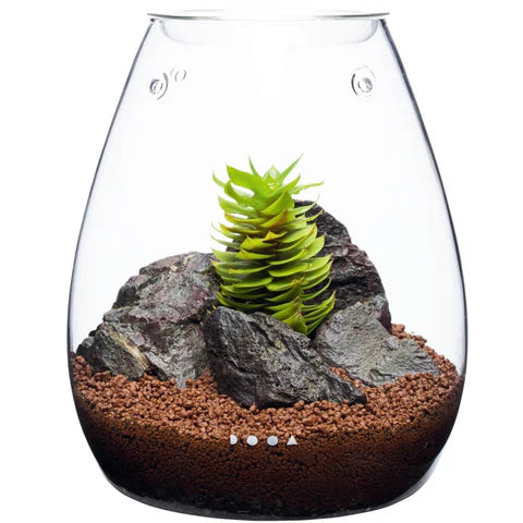 Terrarium da Scrivania Shizuku: design naturale e relax