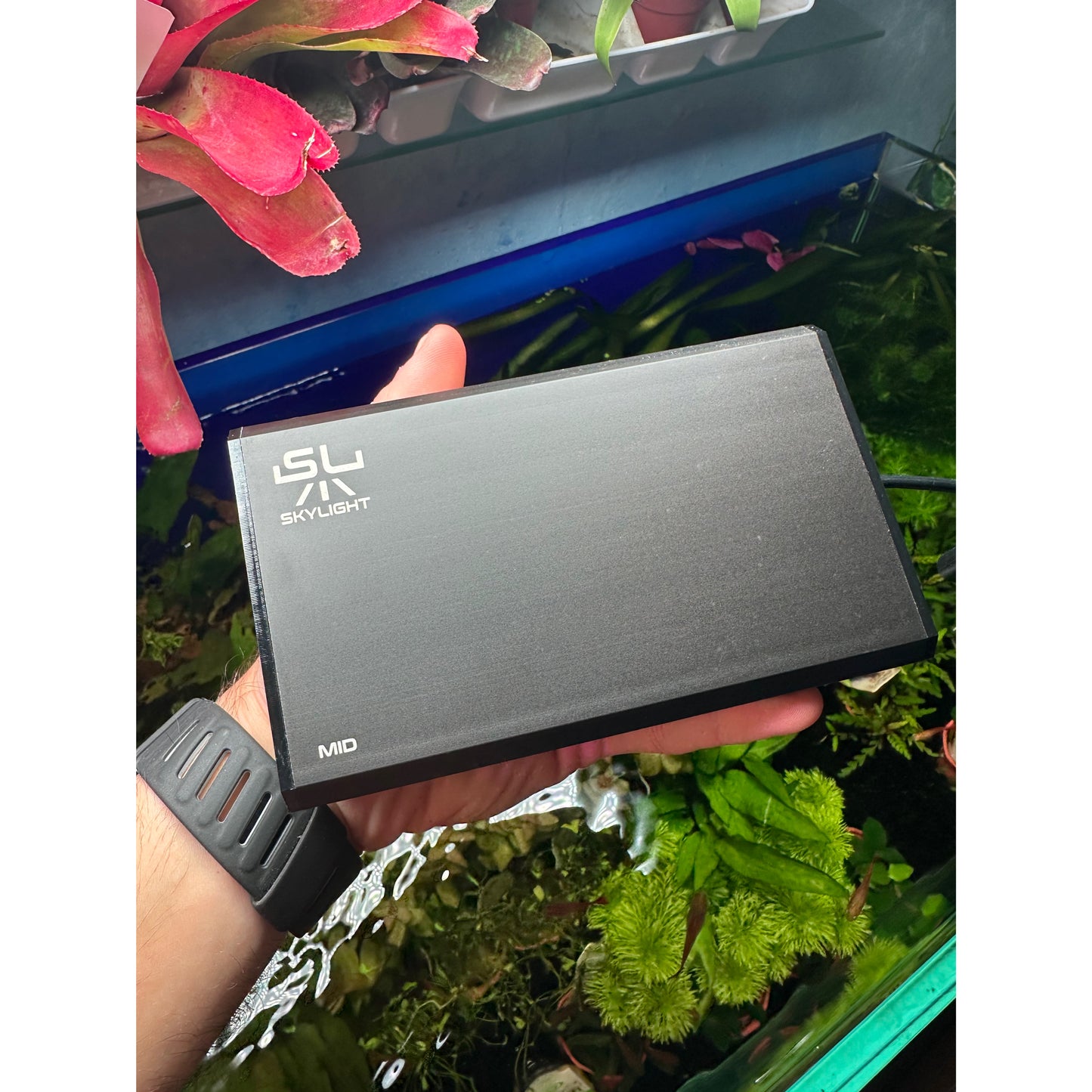 Skylight Mid 2H Black