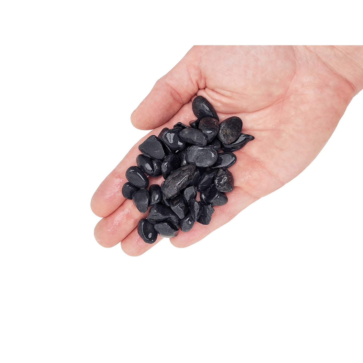 Black Venom Gravel