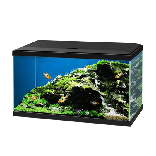 Ciano Aqua Led 60