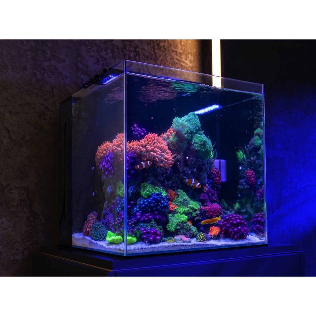 AF Nano Tank
