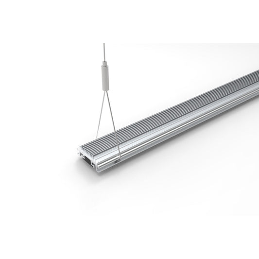 Silver Suspension