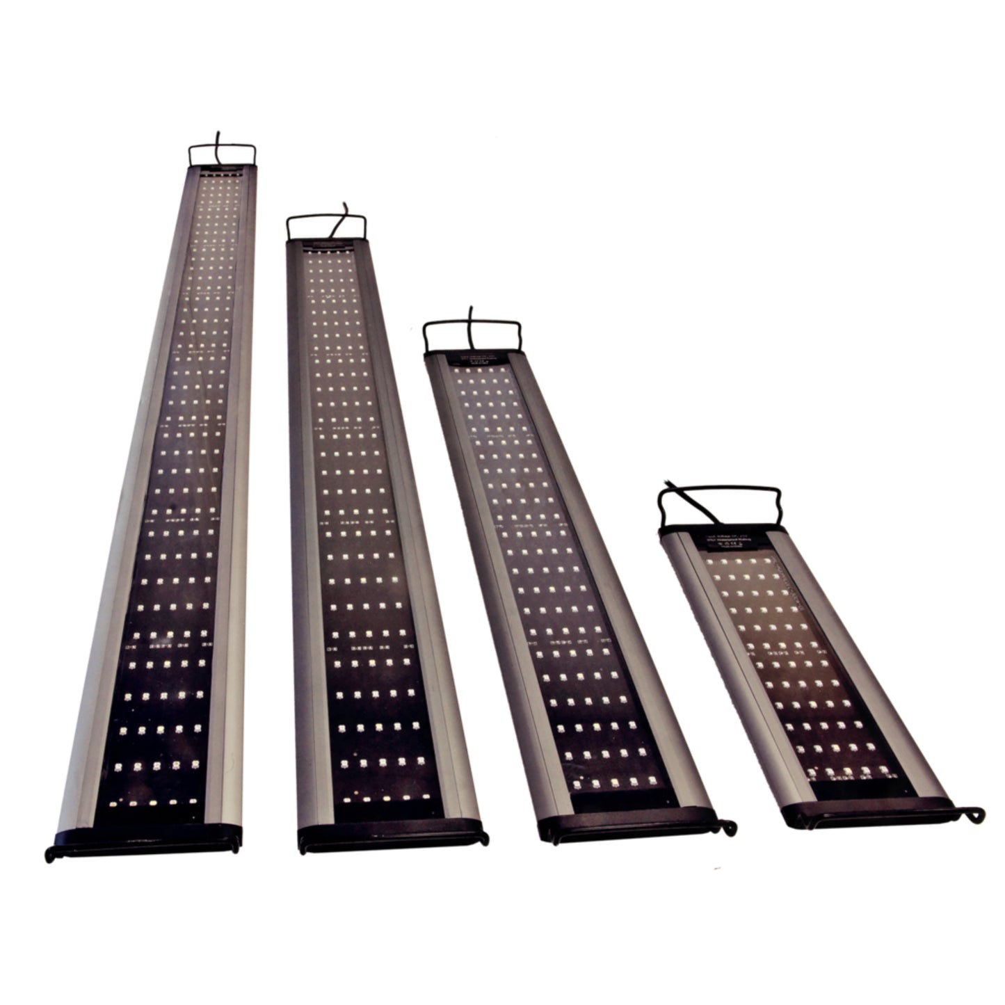 Sunbeam series