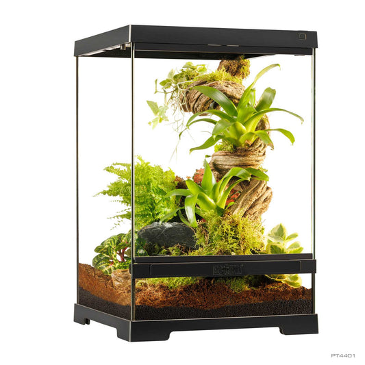 Exo Terra Pro Terrarium X-Small Tall | Terrario Avanzato per Rettili e Anfibi