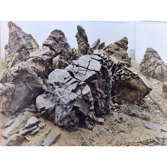 Rhino Stone