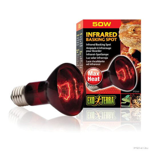 Infrared Basking Spot