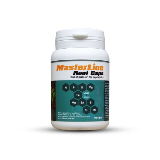 Root Caps (60 pcs)