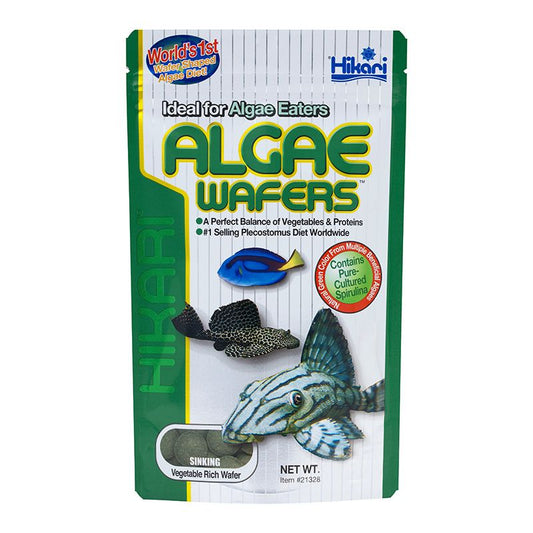 Hikari Algae wafers