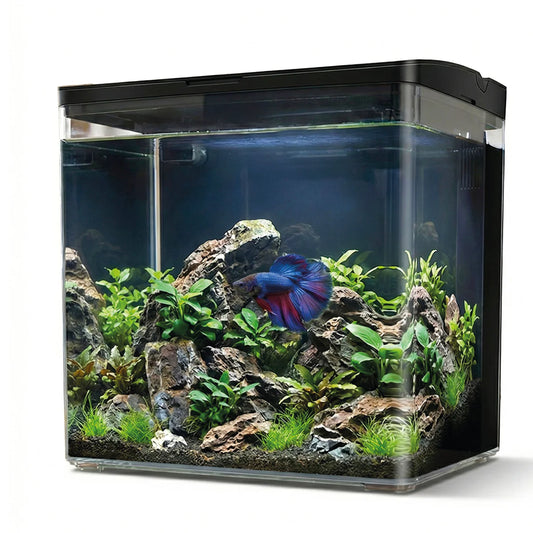 AQPet Neya Starter Kit Acquario Betta Completo con LED Filtro e Riscaldatore | Animal instinct Roma